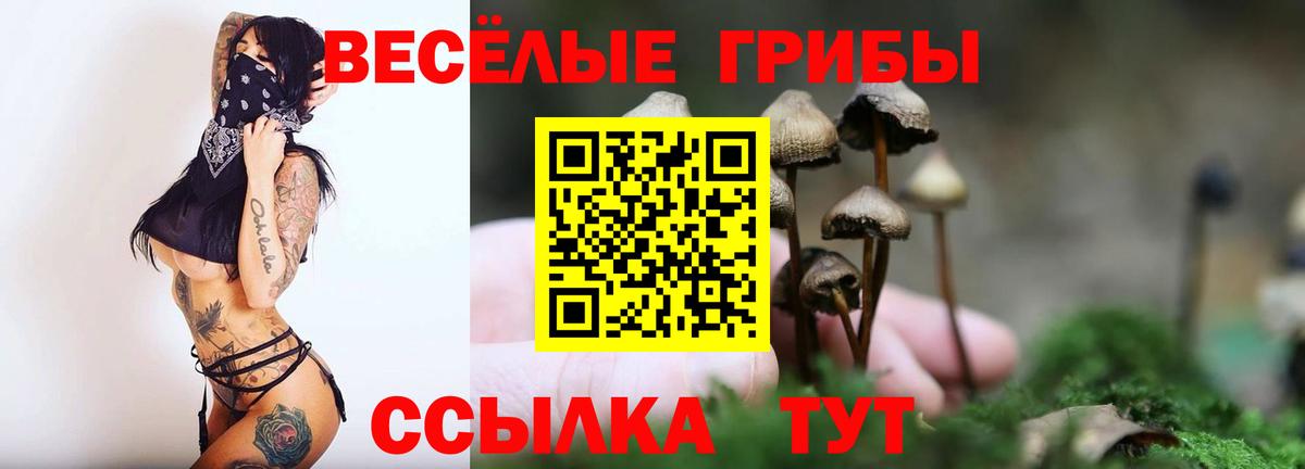 Псилоцибиновые грибы Cubensis Воркута